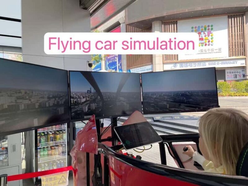 Shenzhen Tech Tour: Humanoid Robots, Driverless Taxi, Drone - Practicalities & Experience Tips