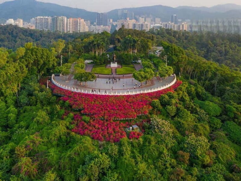 Shenzhen8h City Walk & Future Experience Highlights Trip - Who Will Love This Tour?