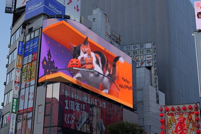 shibuya-harajuku-and-shinjuku-private-tour-with-local-guide-2