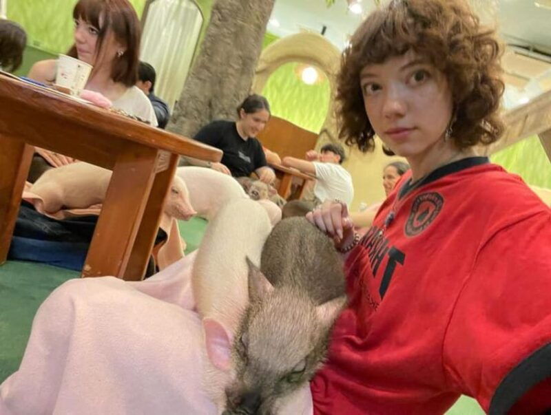 shibuya-harajuku-spice-it-up-your-tokyo-tour