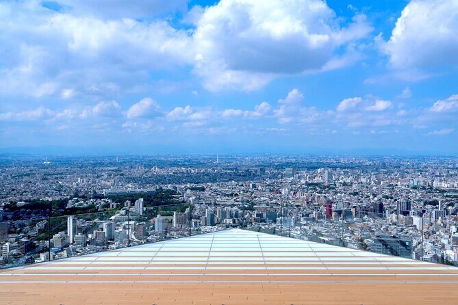 Shibuya Highlights Hachiko Scramble Meiji Jingu and Sky - An In-Depth Look at the Shibuya Highlights Tour