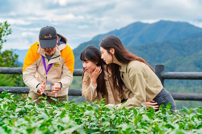 Shiding Old Street Luxury Tour Experience - Authentic and Value-Driven Experience