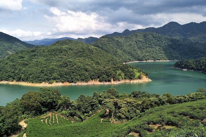 Shiding Tea Township Half-Day Tour from Taipei - How to Make the Most of It