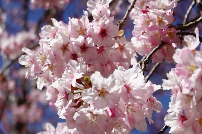 Shifen, Jiufen, Jinguashi & Gold Museum One Day Tour From Taipei - The Sum Up