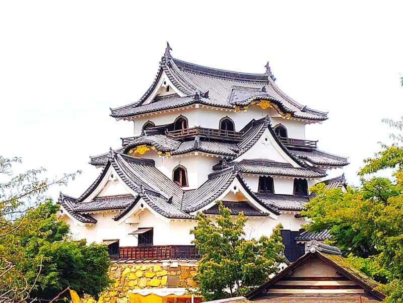 Shiga: Guided Hikone Castle Experience with Samurai Heritage - The View from the Top