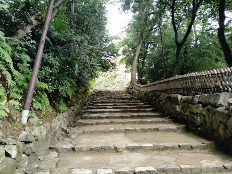 Shiga: Guided Hikone Castle Experience with Samurai Heritage - The Extended Option: Gardens, Palaces, and Tea