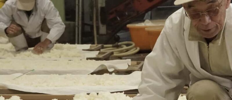 Shiga: Kitajima Sake Brewery Tour with Tasting - A Closer Look at the Kitajima Sake Brewery Experience