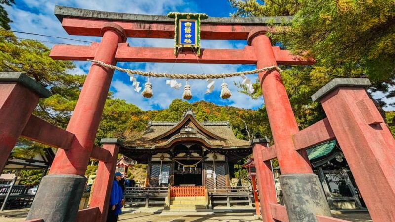 shiga-miho-museum-lake-biwa-waterbird-shrine-day-trip