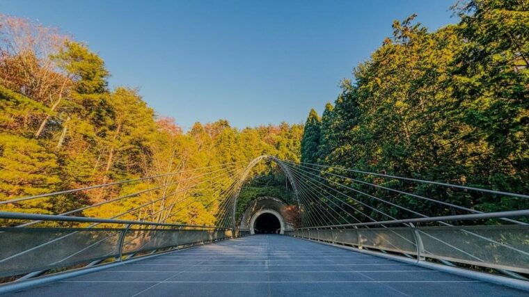 shiga-miho-museum-lake-biwa-waterbird-shrine-day-trip