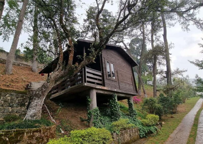 Shillong Green Trails: Guided Trekking Experience with local - A Closer Look at the Experience