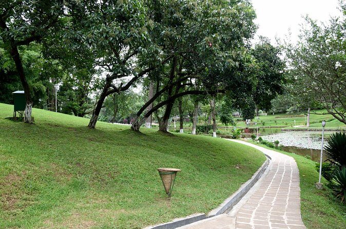 Shillong Nature Walk (3 Hours Guided Trekking Experience) - Walking in Upper Shillong Forest