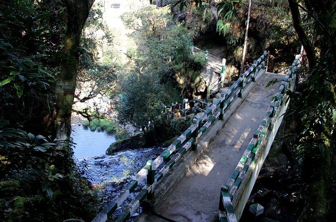 Shillong Nature Walk (3 Hours Guided Trekking Experience) - Why this Tour Offers Good Value