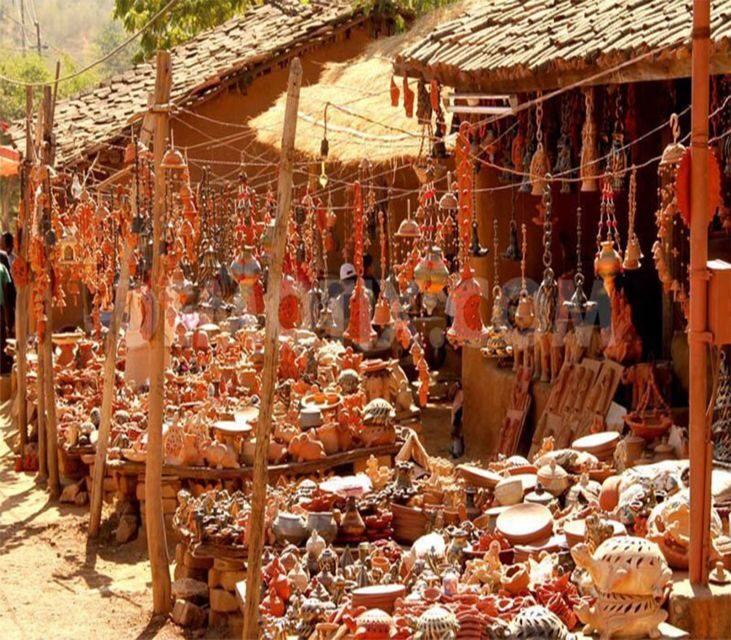 Shilpgram: Private Half-Day Tour with Guide and Transfer - What to Expect from the Shilpgram Tour