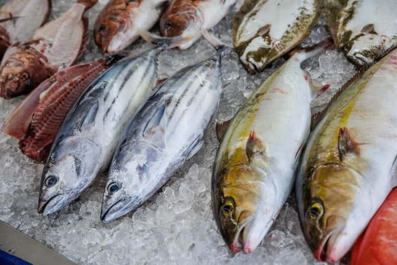 Shima: Standard Fish Shop Tour & Workshop - Key Points