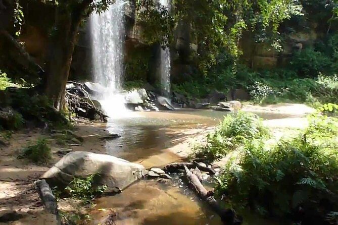 Shimba Hills Excursion - An Authentic Look at the Shimba Hills Excursion