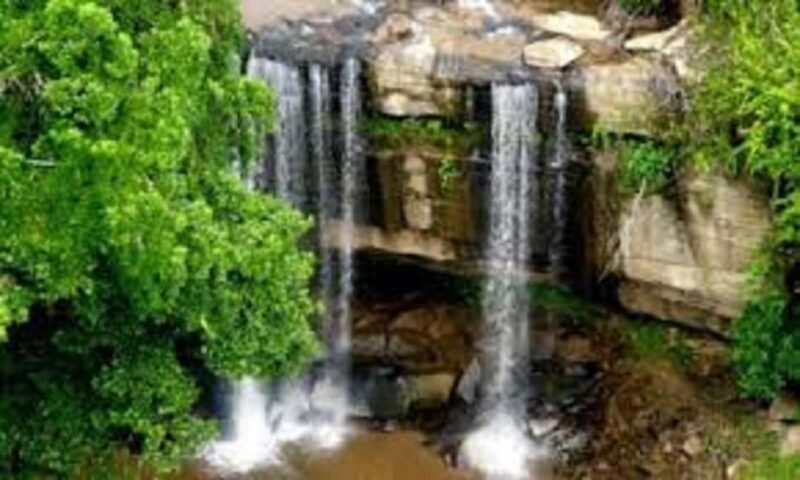 Shimba Hills: Game Drive, Waterfall Hike, and Lunch - An In-Depth Look at the Shimba Hills Experience
