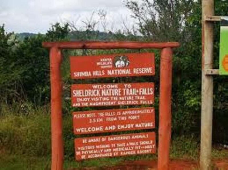 Shimba Hills: Game Drive, Waterfall Hike, and Lunch - Who Should Consider This Tour