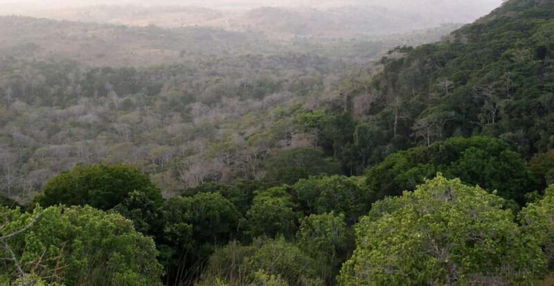 Shimba Hills National Reserve Day Trip from Diani - The Itinerary: What to Expect on Your Day Trip