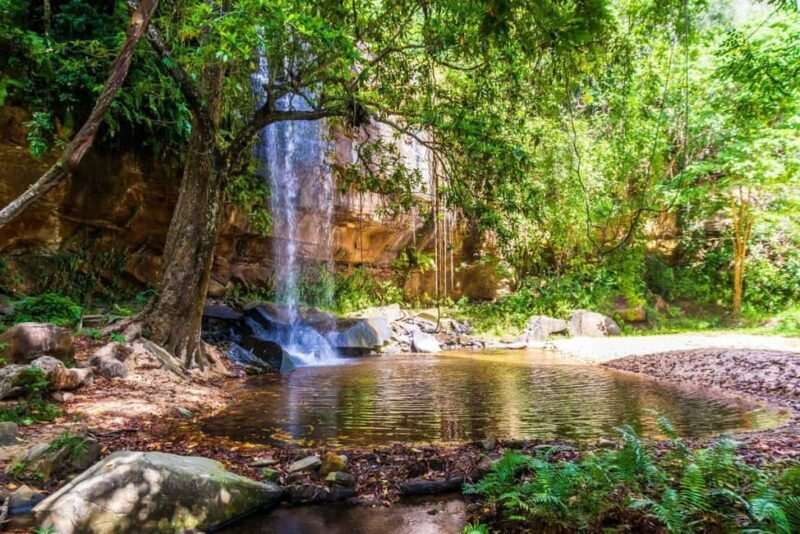 Shimba Hills National Reserve Day Trip from Diani - Additional Practical Details