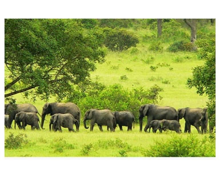 Shimba Hills National Reserve Day Trip from Diani - Final thoughts