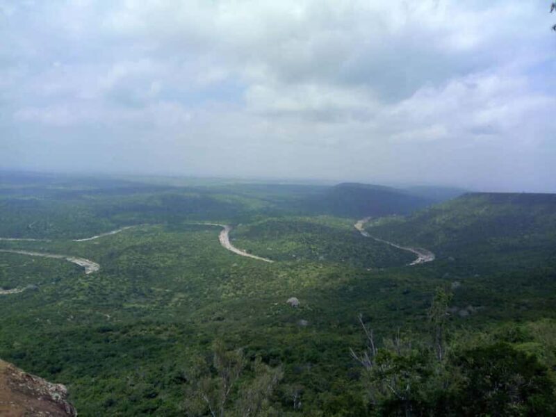 Shimba Hills Reserve Day Trip: From Mombasa and Diani - Discovering Shimba Hills Reserve: A Full-Day Adventure from Mombasa and Diani