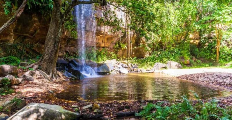 Shimba Hills Reserve Day Trip: From Mombasa and Diani - Key Points