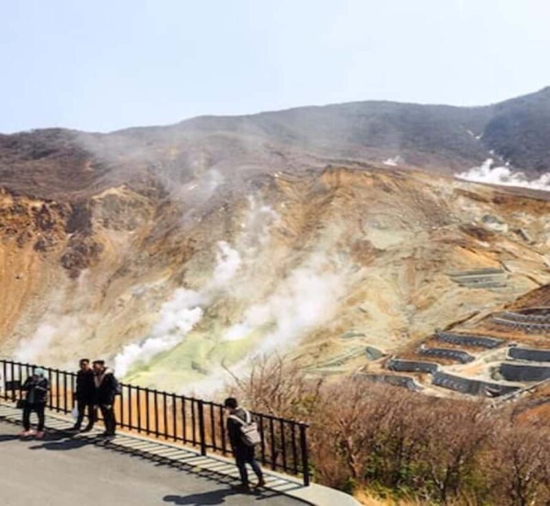 Shimizu: Hakone full-day Private Tour with Guide - Why Choose This Tour?