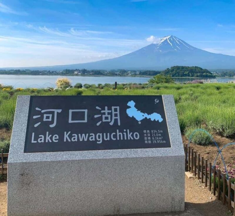 Shimizu: Mount Fuji Private Tour with Custom Itinerary - Introduction