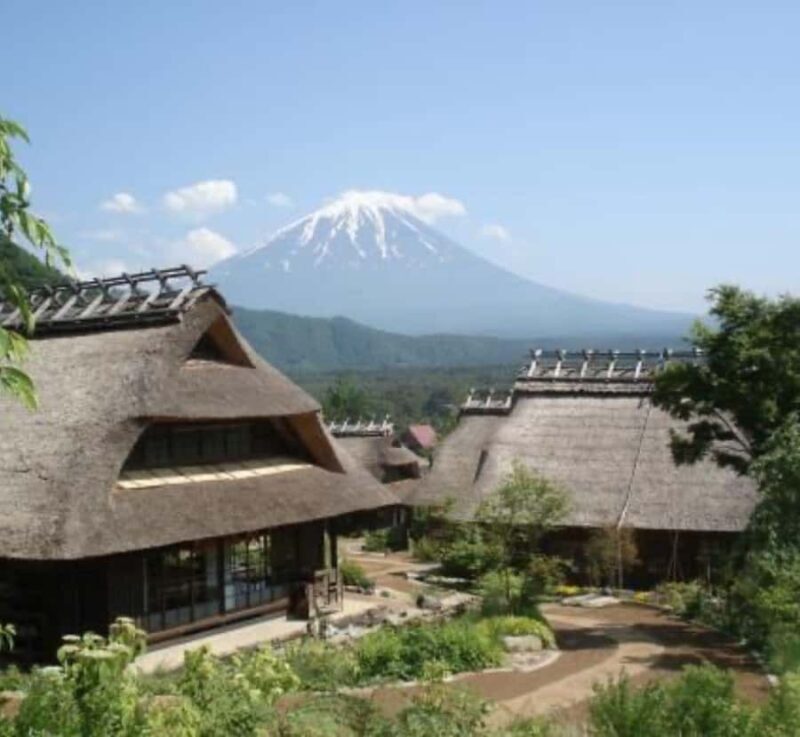 Shimizu: Mount Fuji Private Tour with Custom Itinerary - What We Love About This Tour