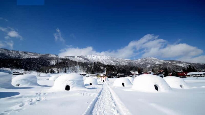 Shimizu: Nagano Private Full-Day Tour with Guide - What Makes This Tour Special?