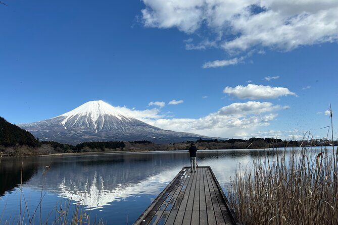 Shimizu Port Private Car Tour  Mt. Fuji & Local Highlights - Key Points
