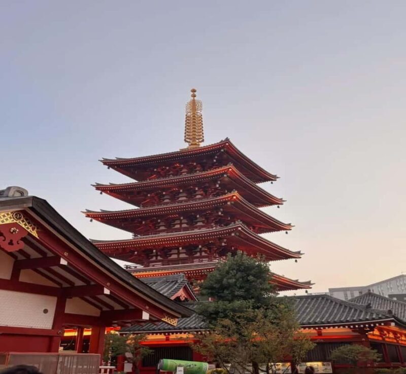 Shimizu: Tokyo Private Day Trip with Guide - Key Points