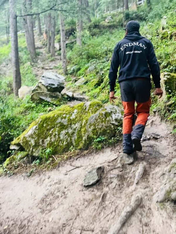 Shimla: Beginner-Friendly Rappelling & Climbing Tour - The Forest Setting: A Peaceful Escape