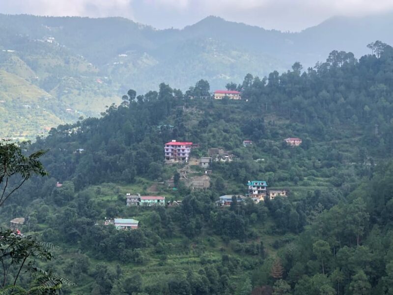 Shimla: Experience the Best of Shimla with a Local Guide - Practical Tips for the Tour