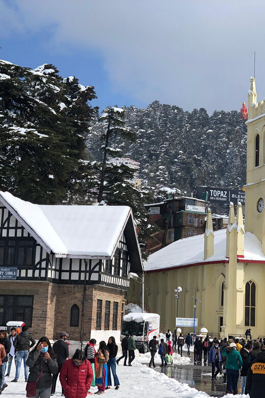 Shimla: Experience the Best of Shimla with a Local Guide - Who Is This Tour Best For?