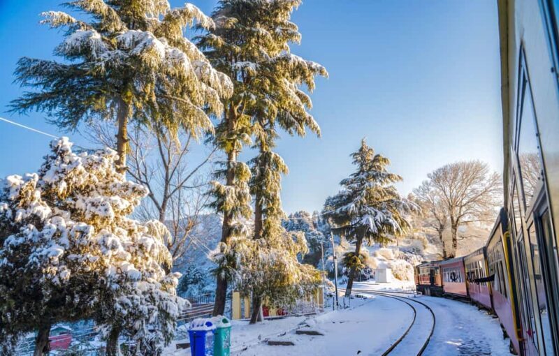 Shimla: Guided City Day Tour with Kufri Hill Station Visit - What Makes This Tour Stand Out?