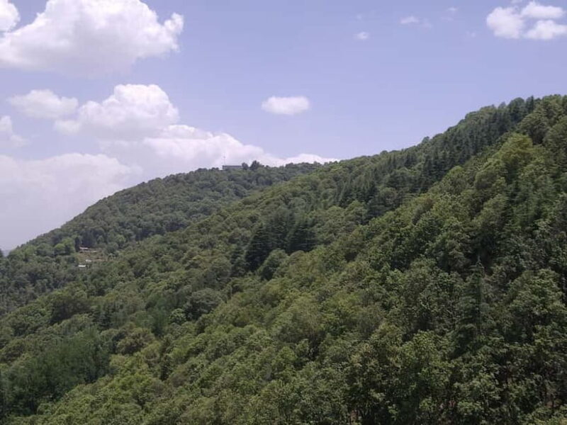 Shimla: Hiking Tour to Taradevi Hill with Local Driver Guide - The Trek Itself: What to Expect from Start to Finish