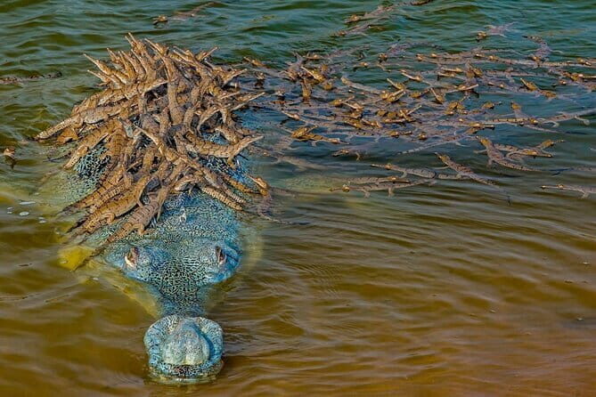 Shimla Queen Of Hills Tour Package 3 Days By Car - FAQs