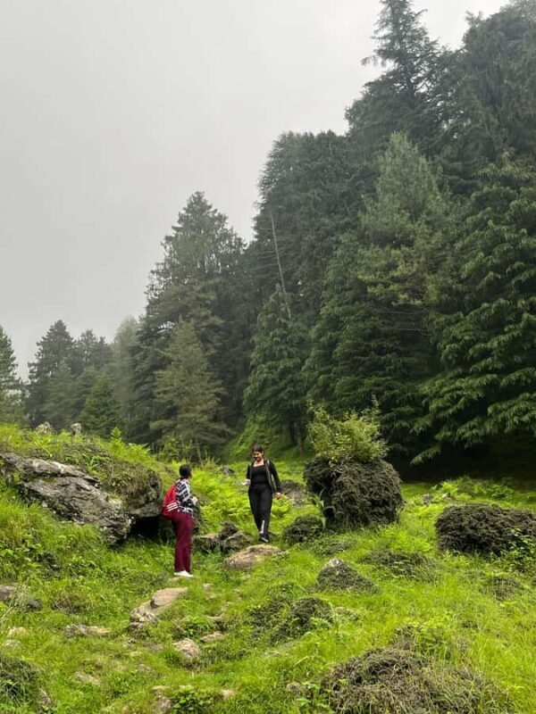 Shimla: Shali Tibba Guided Hike with Scenic Views - The Sum Up