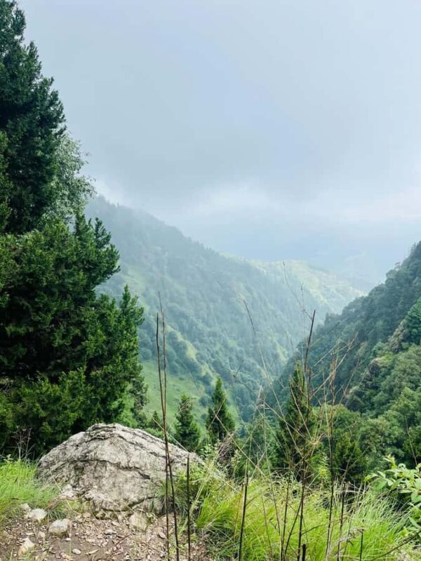 Shimla: Shali Tibba Guided Hike with Scenic Views - FAQs