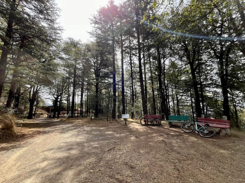 Shimla: Wildlife Sanctuary & Water Catchment Guided Tour - Exploring Shimla’s Hidden Green Gem: Wildlife Sanctuary & Water Catchment Guided Tour