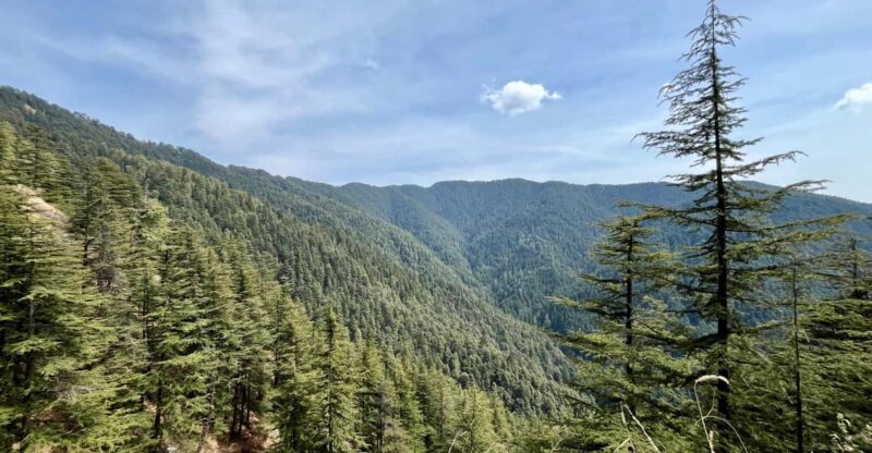 Shimla: Wildlife Sanctuary & Water Catchment Guided Tour - Key Points