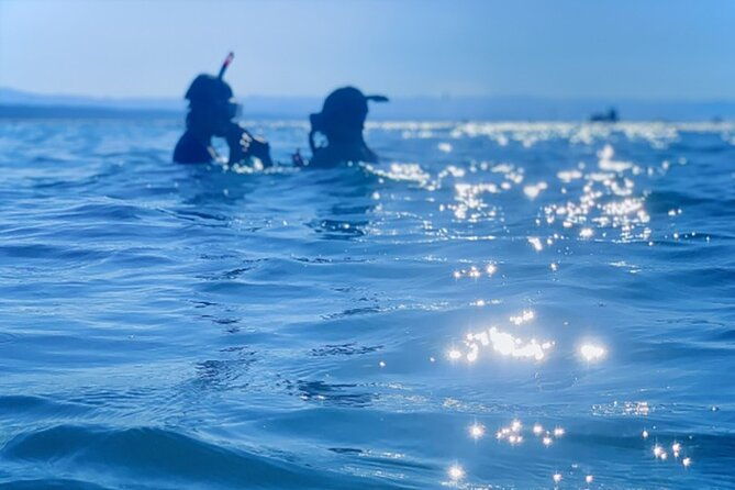 shimoda-local-guide