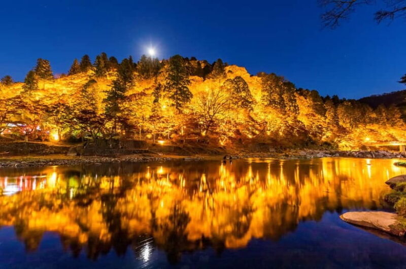 Shin-Toyota: Korankei/Obara Bus Tour with Persimmon Tasting - A Closer Look at the Itinerary and Experiences