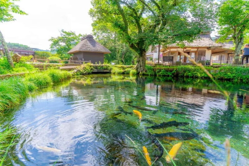 Shine Muscat Buffet, Fuji Ice Cave & Oshino Hakkai Day Tour - A Closer Look at the Itinerary