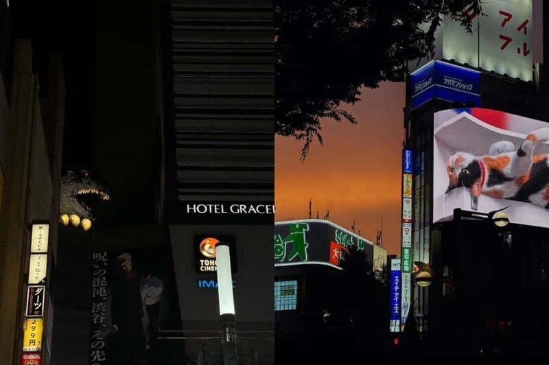 Shinjuku Evening Walk & Traditional Snack Bar Visit - Final Thoughts