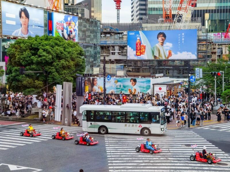 shinjuku-go-karting-tour-with-funny-costume