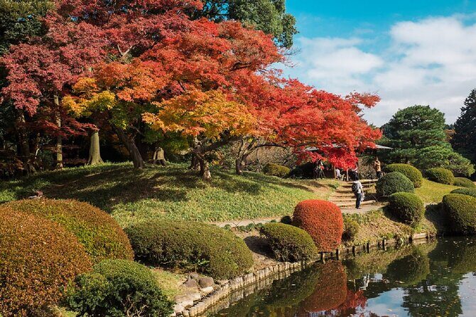 Shinjuku Gyoen National Garden 2 Hour Walking Tour - A Closer Look at the Tour Itinerary