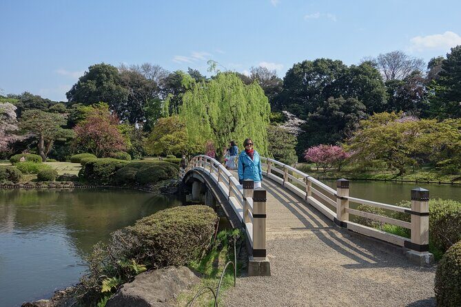 Shinjuku Gyoen National Garden 2 Hour Walking Tour - Final Thoughts: Who Will Love This Tour?
