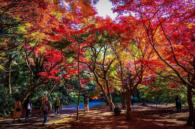 Shinjuku Gyoen National Garden 2 Hour Walking Tour - FAQs
